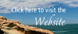 Visit the Website